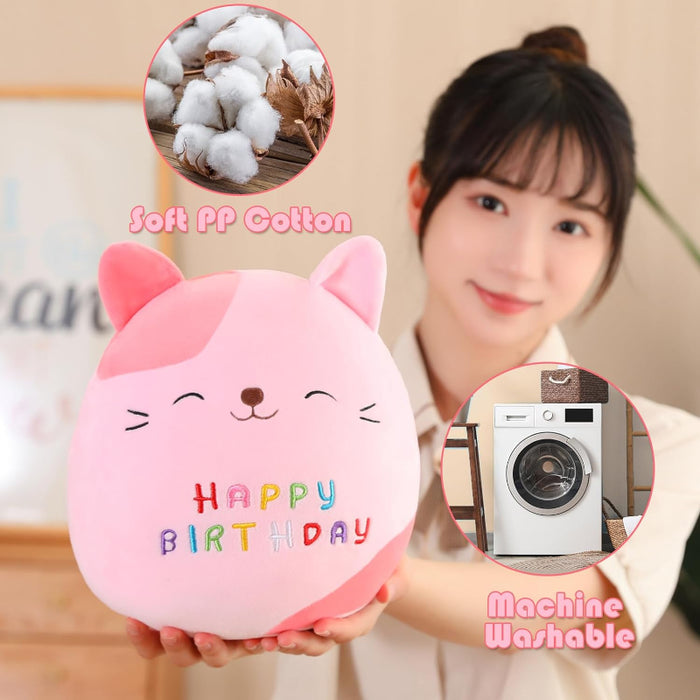 Birthday Cat Plush Toy