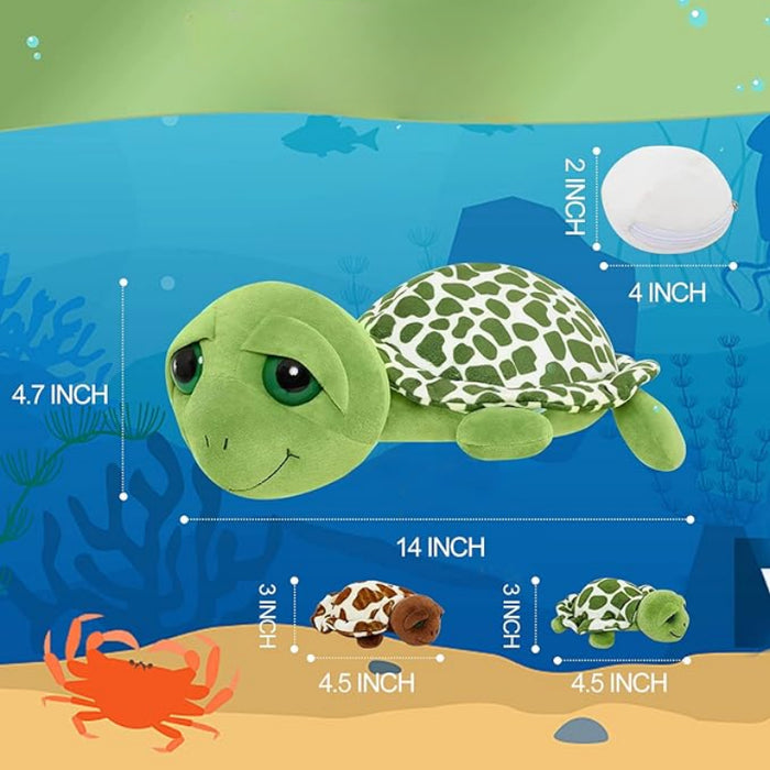 Sea Turtle Plush Toy